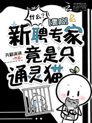 什么？警局新聘专家竟是只通灵猫