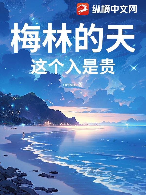 梅林的天，这个入是贵